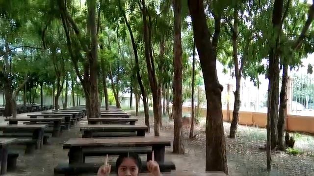 เพลงตารางธาตุ