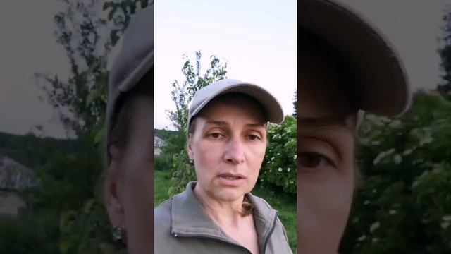 Об органическом земледелии смотреть онлайн