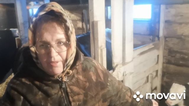 Раздоила ли я корову#Помог ли Окситацин? # смотреть онлайн