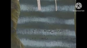 Винни пух на разных языках наоборот In G-Major 16