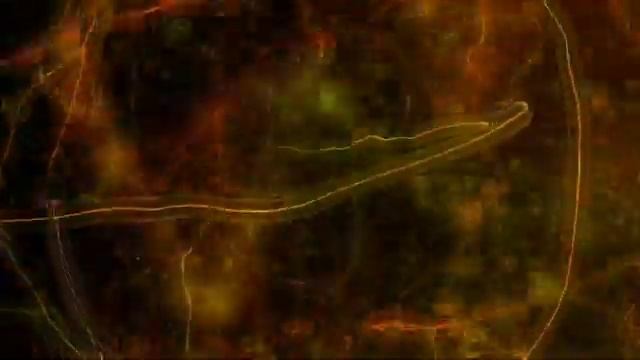 Эффект и заставка 81 смотреть онлайн