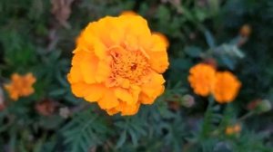 За первого встречного 1 серия | Мелодрама 2021