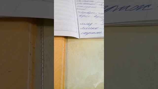 проверка тетради по русскому языку смотреть онлайн