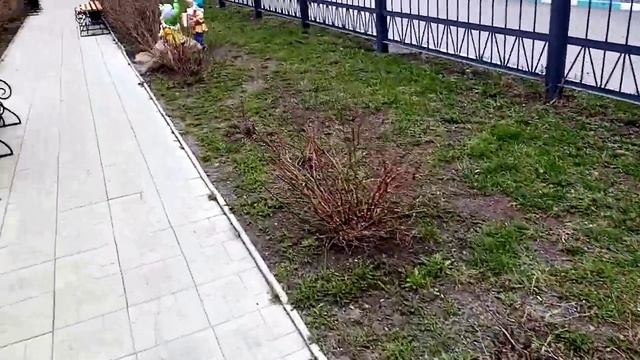 БЕЛОСНЕЖКА И СЕМЬ ГНОМОВ территория Челябинской Областной больницы смотреть онлайн
