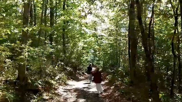 #горячий #ключ 🗝 там есть #канатная #дорога цена 1200 руб 7 10 2023 смотреть онлайн