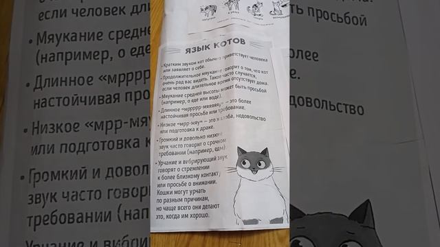Язык котов. смотреть онлайн
