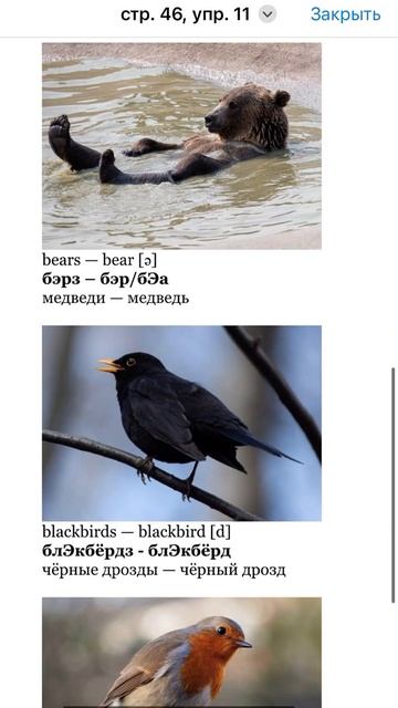 стр. 46, упр. 11. ГДЗ 4 класс (1 часть) Форвард (Forward) смотреть онлайн