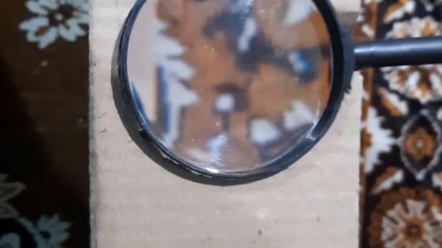 home made projector at 10🤑free cost #shorts#viral#trending@CrazyXYZ#shortsCrazy @MRINDIANHACKER смотреть онлайн