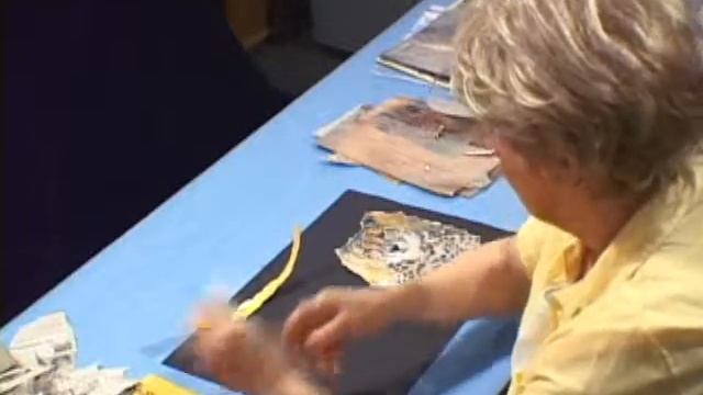 Collage Art For Kids V.2, Www.coycreek.com.flv