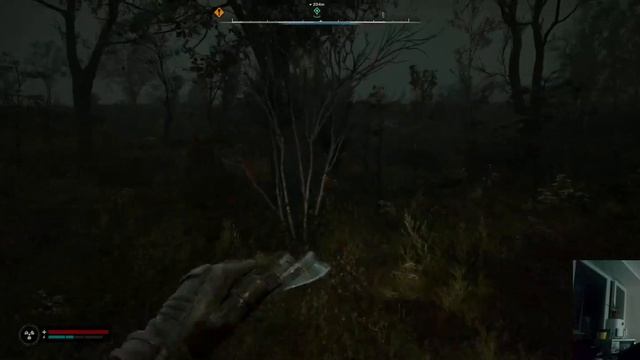 S.T.A.L.K.E.R. 2 Heart of Chornobyl\часть 33\второе прохождение\ Болтаю смотреть онлайн