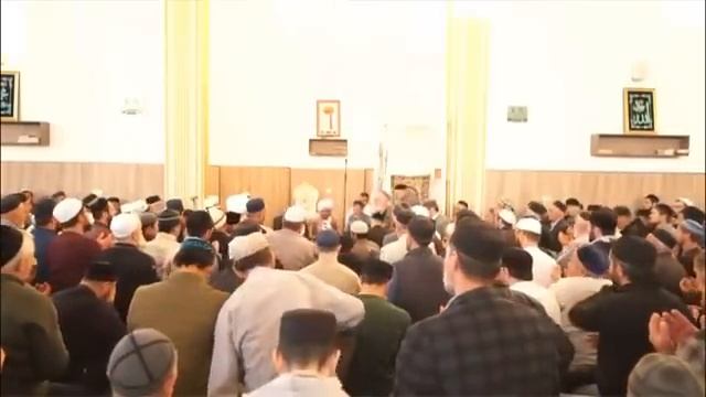 шейх хабиб умар лекция про утренний намаз в мечети . перевод на даргинском языке смотреть онлайн