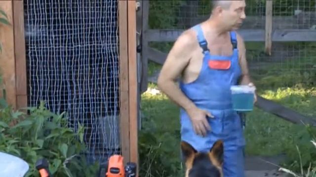 урожай малины смотреть онлайн