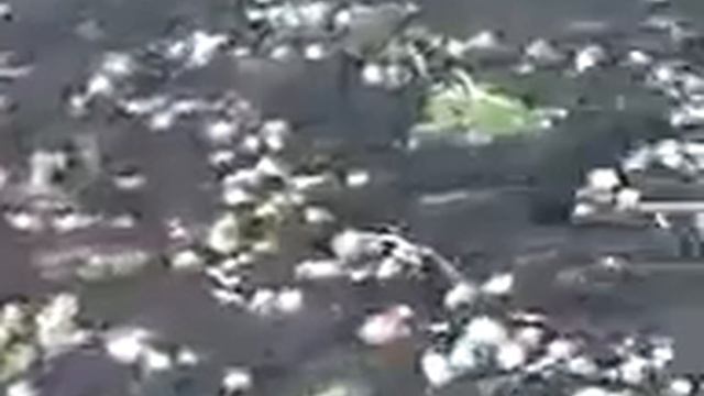 Татарские частушки, беренге. смотреть онлайн