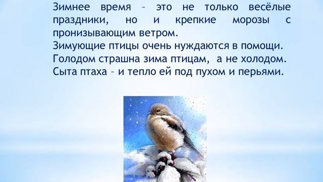 Зимующие птицы смотреть онлайн