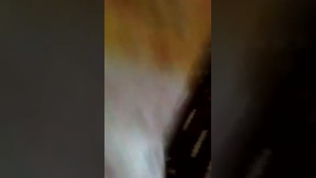 Обзор сладостей из коллекции "Shopkins.2 серия" смотреть онлайн