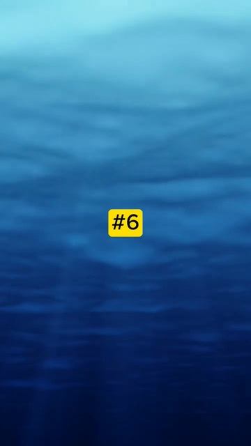 Sabes cuantos idiomas oficiales tiene zuisa? | 10 Datos curiosos de países #2 #datoscuriosos #quiz смотреть онлайн