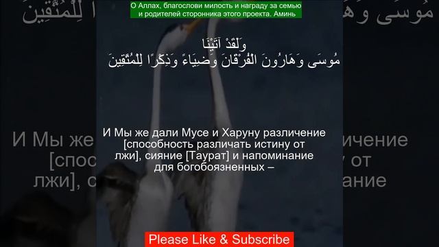 Коран Сура Аль-Анбия | 21:48 | Чтение Корана с русским переводом | #qurantranslation смотреть онлайн