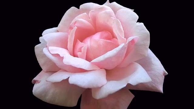 Лучший русский клип о любви онлайн