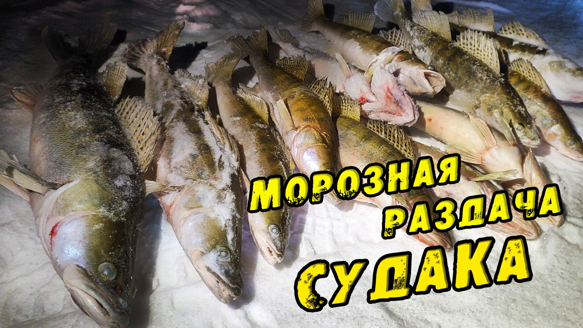 ТАКАЯ РЫБАЛКА Бывает ОДИН раз в ЗИМУ! Ушли от толпы и поймали КУЧУ СУДАКОВ Зимняя Рыбалка на Судака смотреть онлайн