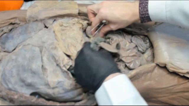 ОЧЕРЕВИНА (PERITONEUM) смотреть онлайн