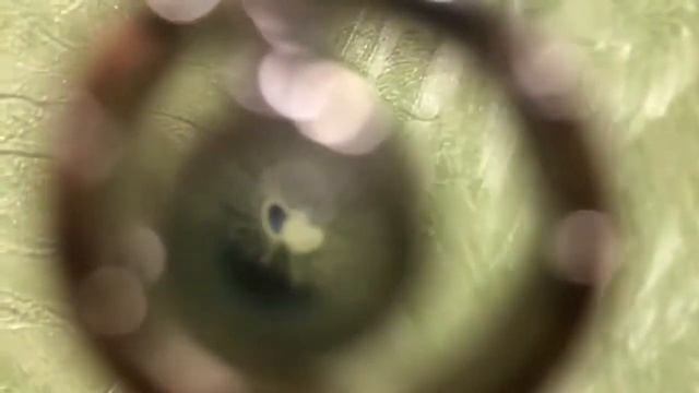 Кулон со световой проекцией Я ЛЮБЛЮ ТЕБЯ. Пришел оригинал. Отзыв. смотреть онлайн