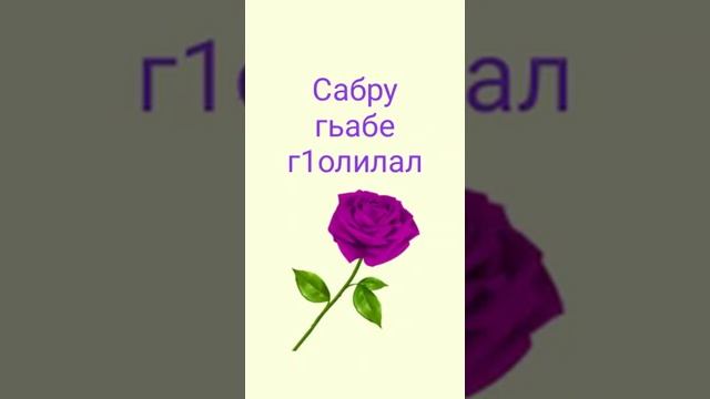 мудрые слова на аварском смотреть онлайн