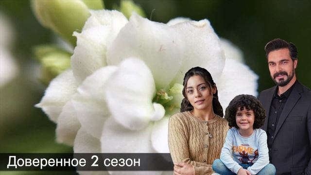 ДОВЕРЕННОЕ 304! Мы узнали факты Яман! смотреть онлайн