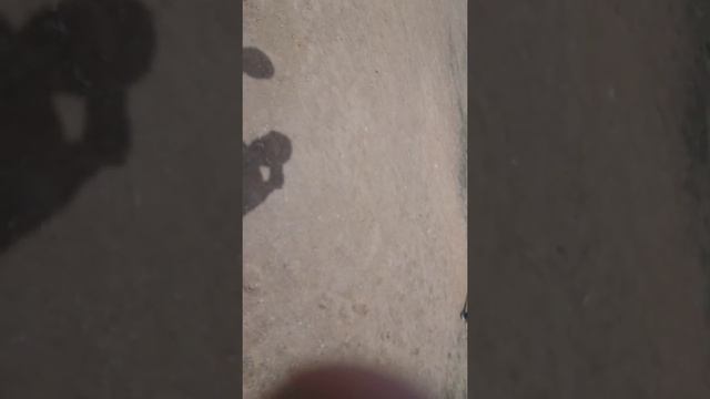 драчуны смотреть онлайн