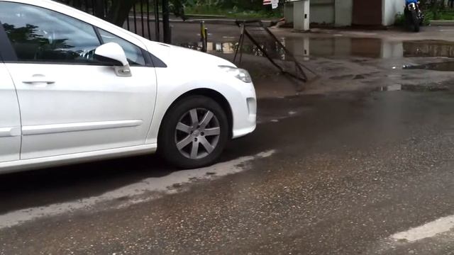 живая природа смотреть онлайн