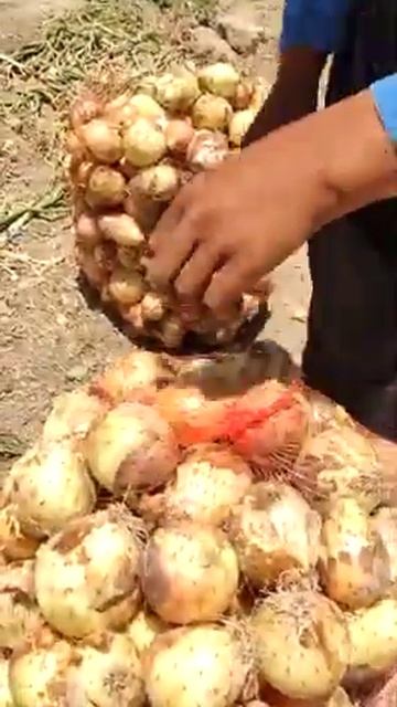 Сетка - мешок с луком 30 кг. смотреть онлайн