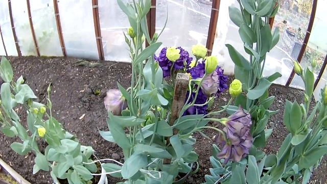 Ура, завершили садовый сезон