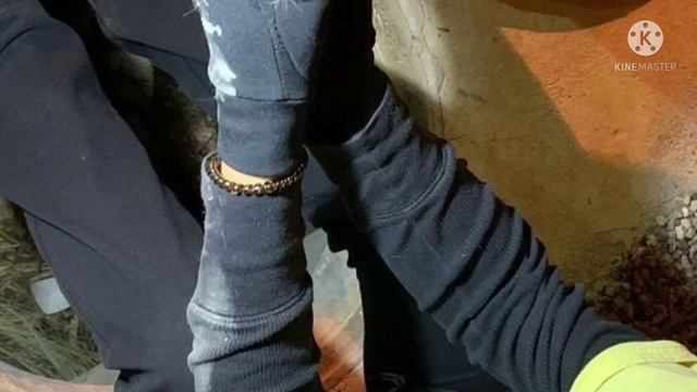 Из люка доносился жалобный «плач»: крохотный котенок, не успевший открыть глазки, умолял спасти его