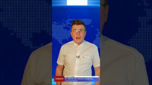 На Губернатора Херсона напал Енот Толик (ПАРОДИЯ) смотреть онлайн