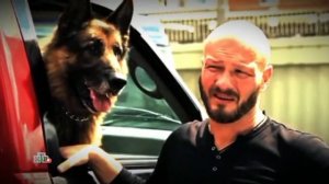 пес, пёс, сериал, пёс, максимов, гнездо, гнездилов