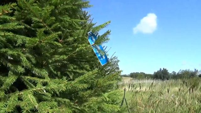 11714 Ель Стриженая срезанная смотреть онлайн