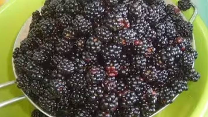 Ирина Гурьева