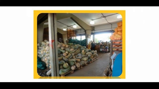 Palestra 08 - Mercados, rastreabilidade e a comercialização do maracujá-azedo – Dr. Gabriel смотреть онлайн