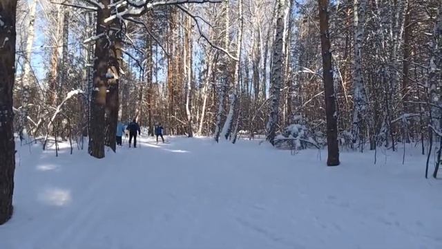 Сноуборд и лыжи смотреть онлайн