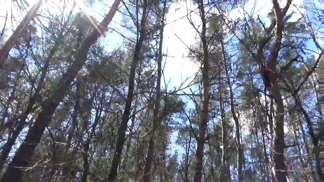 село Холодное Прохоровский район Елочки смотреть онлайн