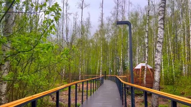 Муж ударил Марину по рукам, когда она хотела взять вторую котлету, но не ожидал, что будет дальше. смотреть онлайн