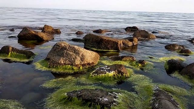 Kimse Bilmez16 СЕРИЯ Русская озвучка Анонс и дата выхода