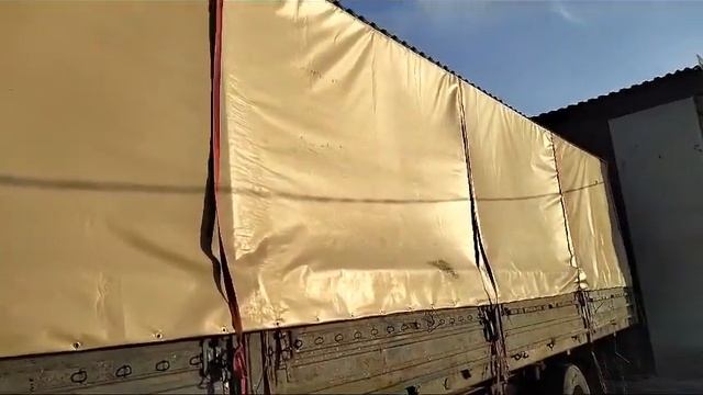 Оборудование для высевания, уборки и мойки тыквенной семечки смотреть онлайн