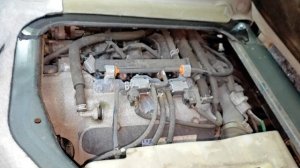 Suzuki Everi и вместе с ней много удивлений для нас