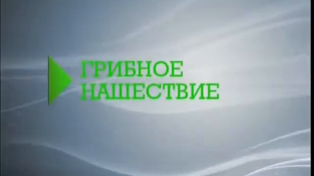 «Живая тема Грибное нашествие» смотреть онлайн