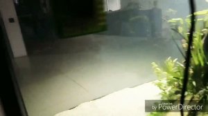 Аквариум на 200 литров. Обзор грунта и самого акваскейпа.