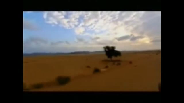 Французский Иностранный Легион смотреть онлайн