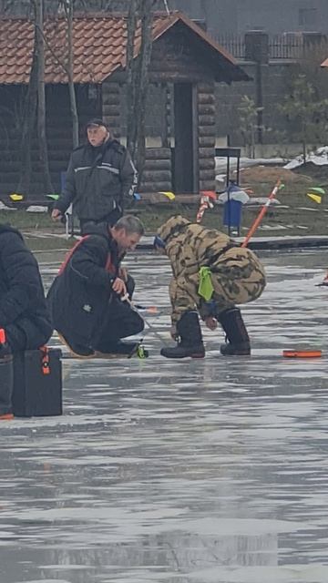 Сход форели смотреть онлайн