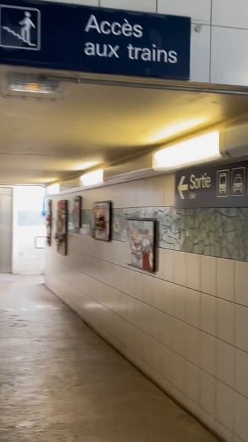 🇫🇷 НА ВОКЗАЛЕ #франция #французскийязык #французский #учитьфранцузский