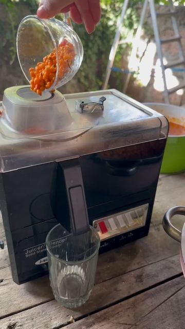 Չիչխանի մուրաբա❤️Sea buckthorn jam without cooking 👌Облепиховое варенье без варки❤️Подпишись 😊 смотреть онлайн