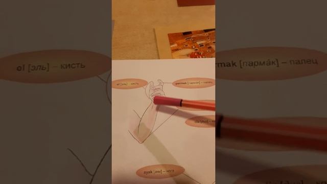 Турецкий язык для детей. Учим турецкий по Мансуровой. Урок 3(часть1)